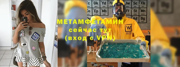 сатива Верея