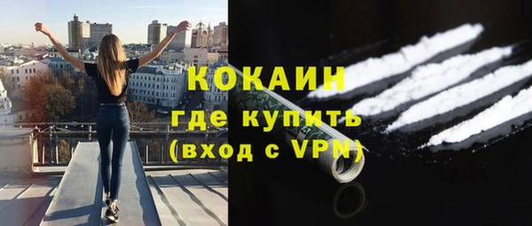 сатива Верея