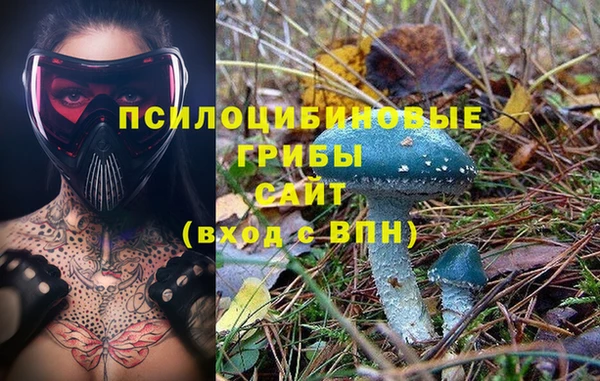МДПВ Верхний Тагил