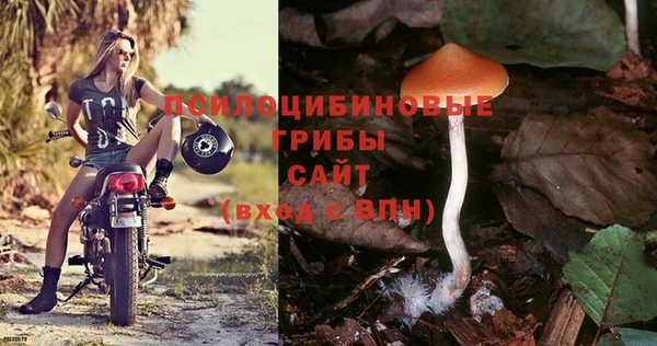 МДПВ Верхний Тагил