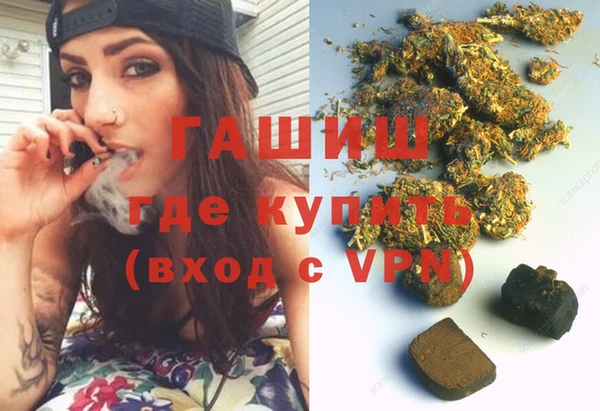 сатива Верея