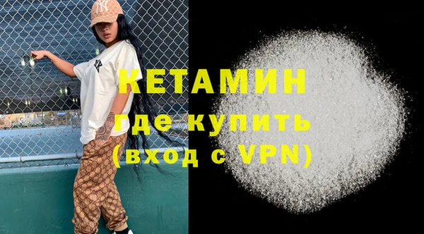 сатива Верея