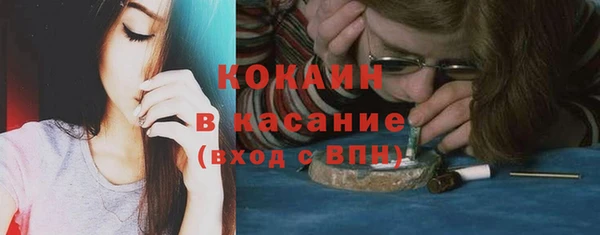 сатива Верея