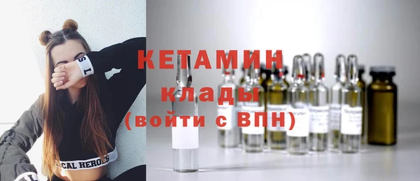 сатива Верея