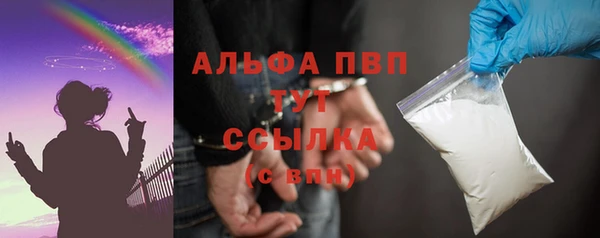 сатива Верея