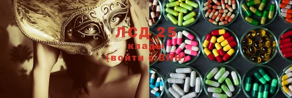 сатива Верея