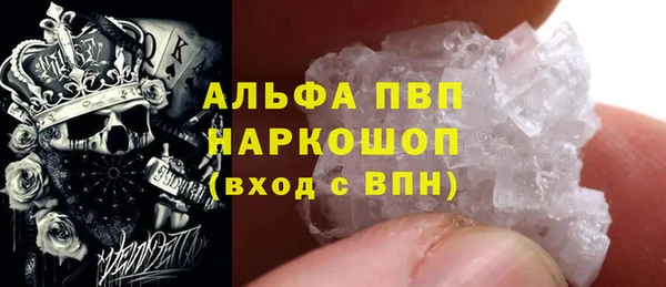 сатива Верея