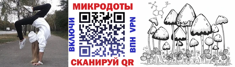 Купить закладки  Лесозаводск  Псилоцибиновые грибы GOLDEN TEACHER 